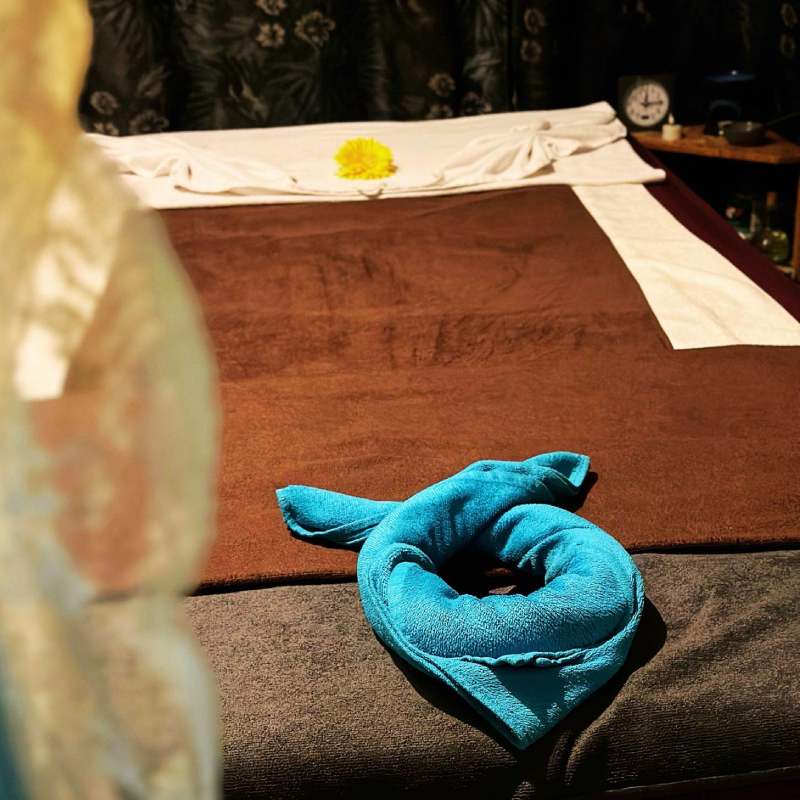 Duo massage in amsterdam duo massage in amsterdam